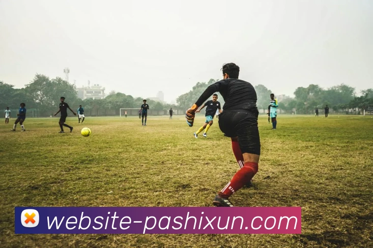 pa视讯平台生态图